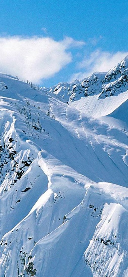 PeelitStickit, Beautiful Nature Wall Murals, ID-1428, vinyl