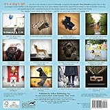 Image de Dogma: A Dog's Guide To Life - Ron Schmidt 2018 Mini Calendar (CS0195)