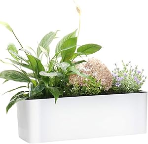Elongated Self Watering Planter Pots Window Box 5.5 x 16 inch with Coconut Coir Soil Indoor Home Garden Modern Decorative Planter Pot for All House Plants Flowers Herbs 1, White 5.5