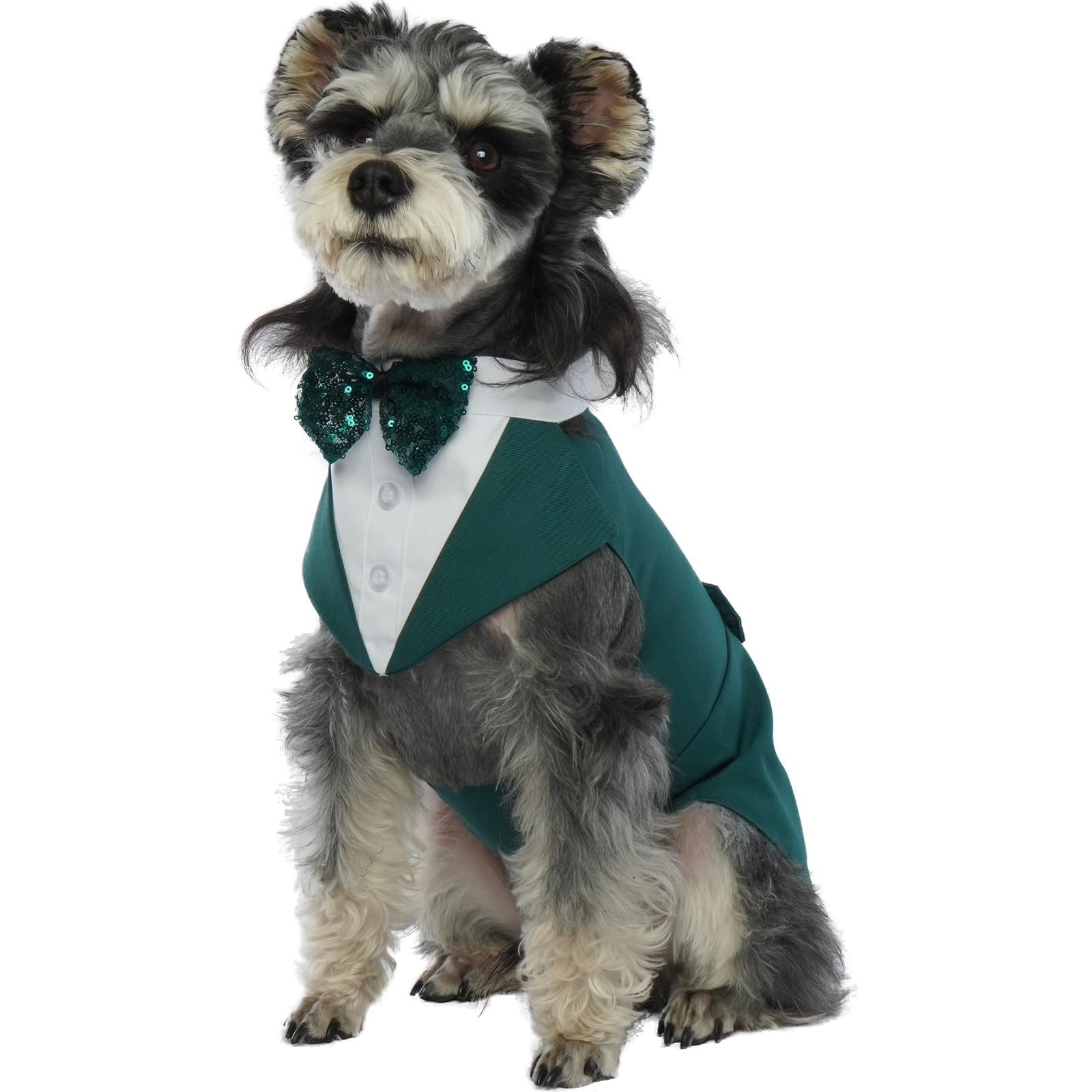 PUMYPOREITY Dog Wedding Outfit, Formal Party Suit with Bow Tie Shirt, Dark Green, M