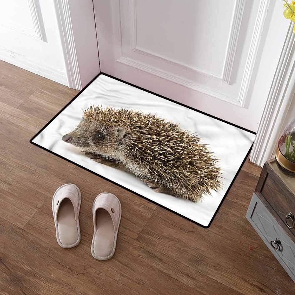 Custom&blanket Large Door Mat Hedgehog Machine Washable