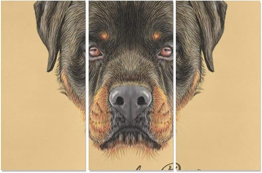 rottweiler wall art