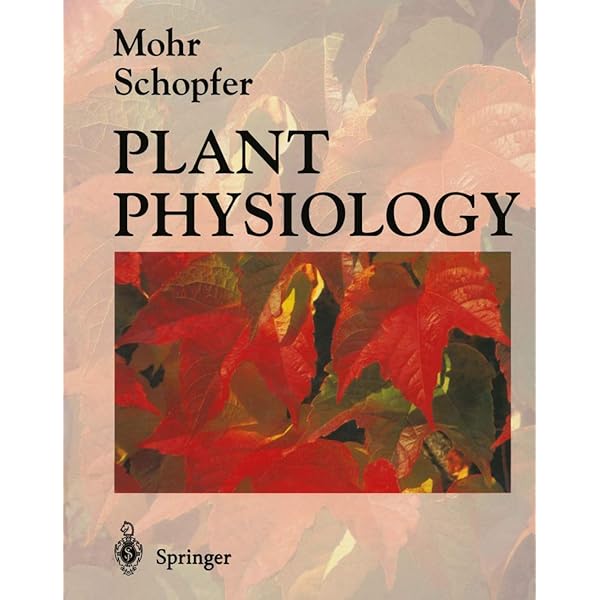 Amazon.com: Plant Physiological Ecology: 9783030296384: Lambers