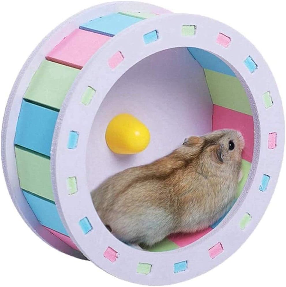 hamster running on wheel