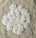 Tumbler Home Certified White Sand Dollars 1 1/2