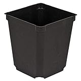McConkey Square 3.5" Nursery Pot, Case of 60