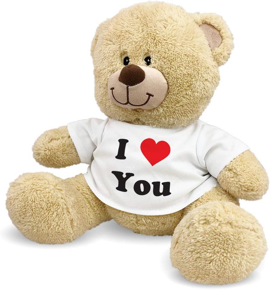 cute teddy bear for boyfriend