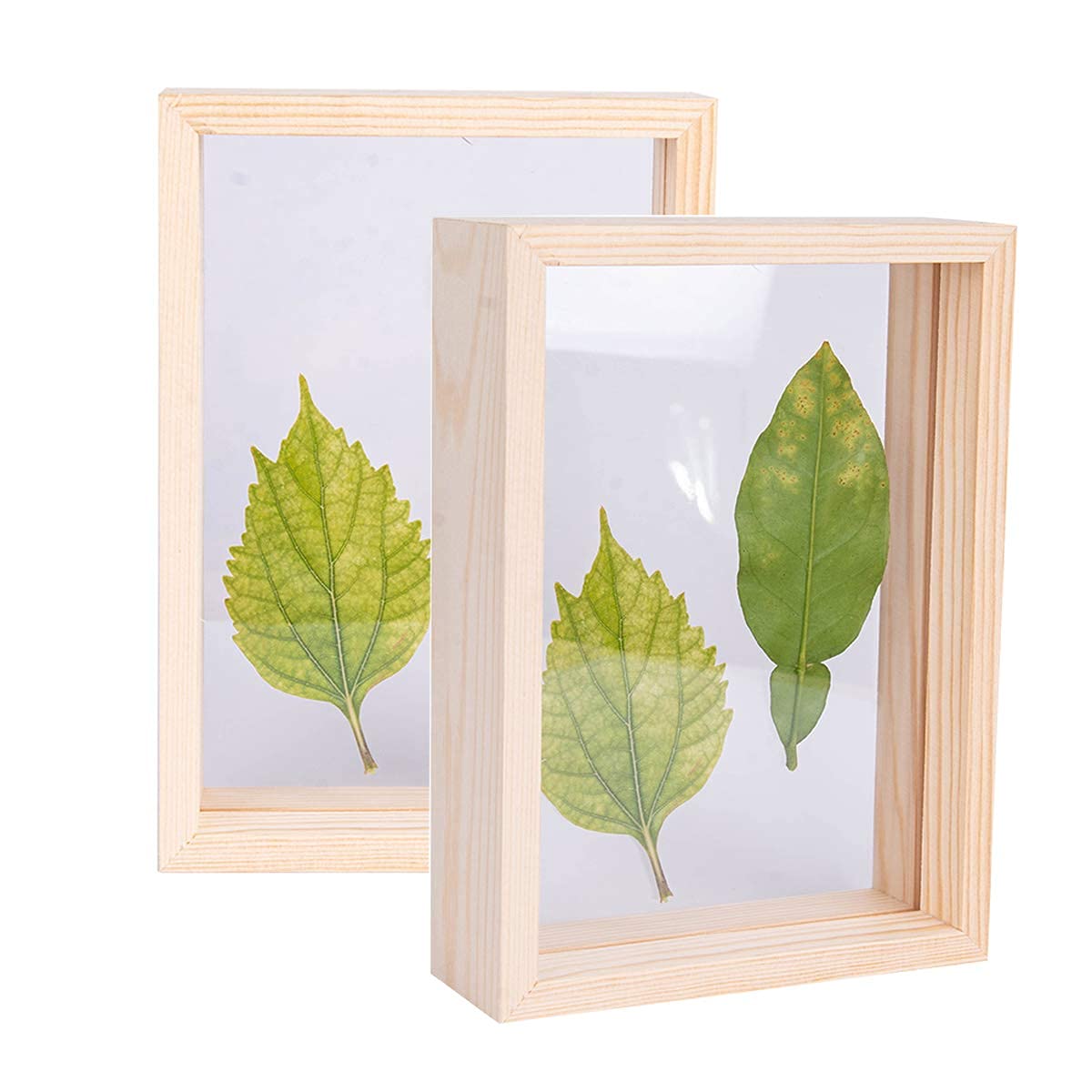 C&Z 4x6 2Pcs Wood Picture Photo Frames Double Sided Acrylic Herbarium Plant Specimen Frame for Pressed Flowers Dried Leaf Display Desktop Table Wall Decoration Wooden