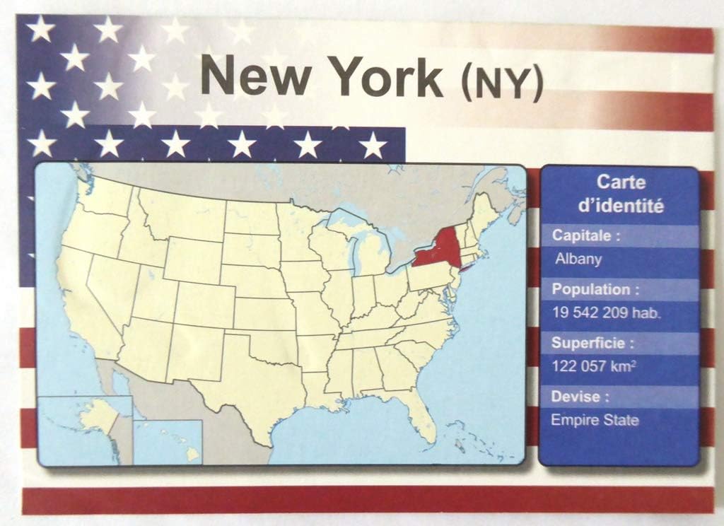 OPO 10 - Set of 4 metal USA car LICENSE PLATES - replicas of real USA NEW YORK CITY NYC license plates, White, Blue, Red, Green - Image 3