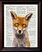 Dictionary Art Print - Red Fox - Printed on Recycled Vintage Dictionary Paper - 8