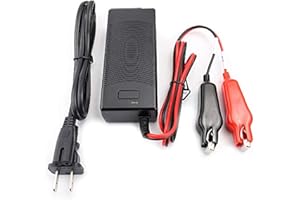 WENMIA Electric Fishing Reel Lithium Battery 14.8V14Ah for Daiwa Tanacom 1000 750 500 Seaborg 500MJ Leobritz Shimano Play BeastMaster ForceMaster. (Lithium Battery Charger)