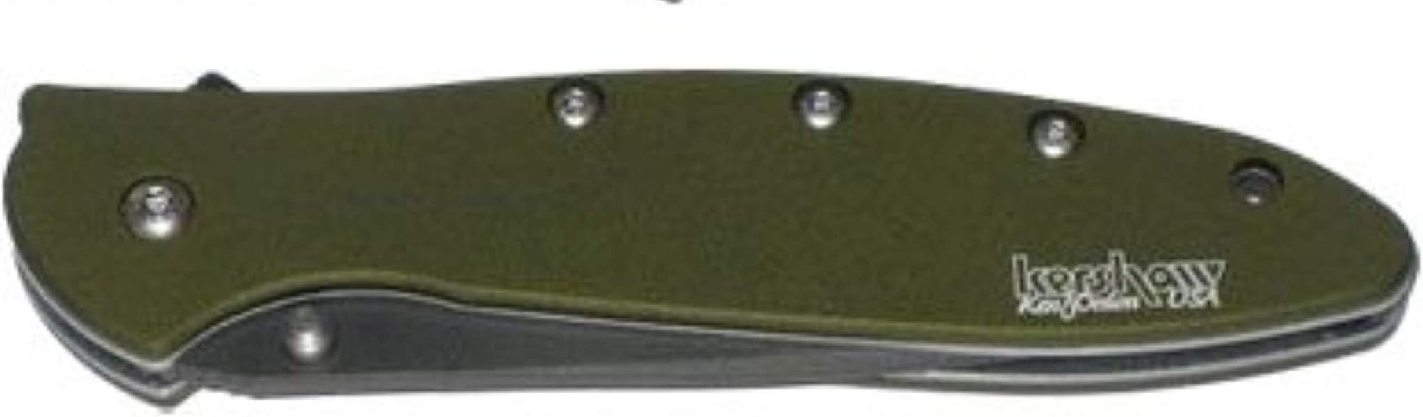 Kershaw Leek Folding Pocket Knife - Black Was Blade, Olive