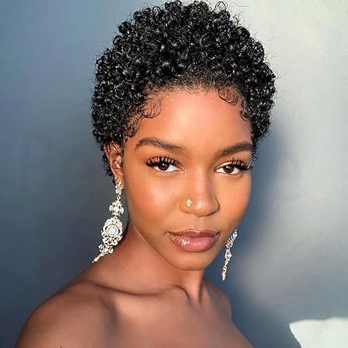 Besteffie Short Afro Kinky Curly Wigs For Black Women Human Hair