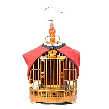 Btri Cage De Vol Extérieure Cage De Nidification Intérieure