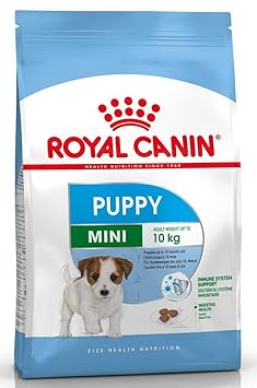 Royal Canin Mini Junior (4 Kg)