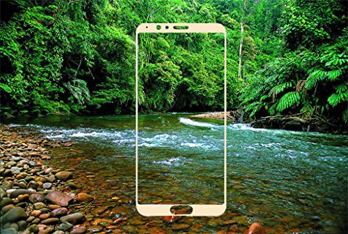 Rockwey Pack Huawei Honor View 10 Screen Protector