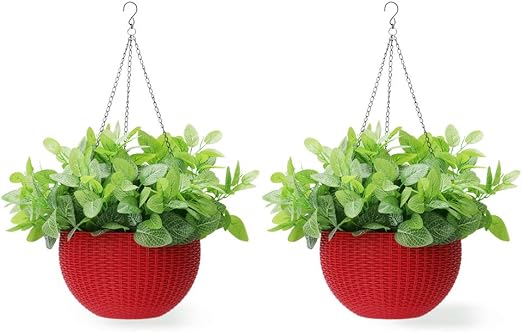 Worth Garden 2 x Canasta Colgante de Maceta con escurridor y ...