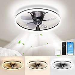 Ceiling Fans with Lights and Remote, 20'' Flush