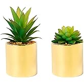 SasaAccueil Faux Succulent Artificial Plants 7'' & 5'' in Pots Home Decoration Set of 2 Gold Pots