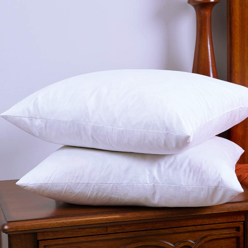 Set of 2, 20 X 20 Inch, Down and Feather Throw Pillow Insert, The