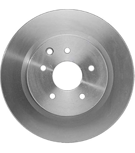 Amazon.com: Raybestos Specialty Street Performance Automotive