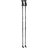 exerstrider walking poles
