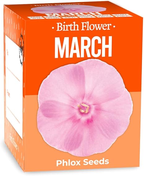 Gift Republic March Birth Flowers Multi Amazon Co Uk Garden Outdoors