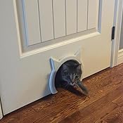 The Kitty Pass Interior Cat Door: Amazon.ca: Pet Supplies