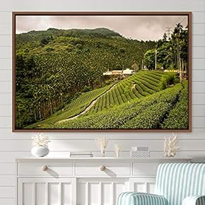 signwin Framed Canvas Wall Art Greenlands Aerial Dark...