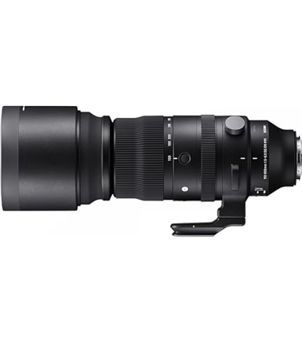 Amazon.com: Sigma 150-600mm F5/-6.3 DG DN for L Mount : Sports