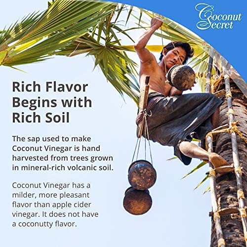 Coconut Secret Raw Coconut Vinegar - 1 Gallon - Rich in Vitamins & Amino Acids - Organic, Vegan, Non-GMO, Gluten-Free, Kosher - Keto, Paleo, Whole 30 - 256 Servings