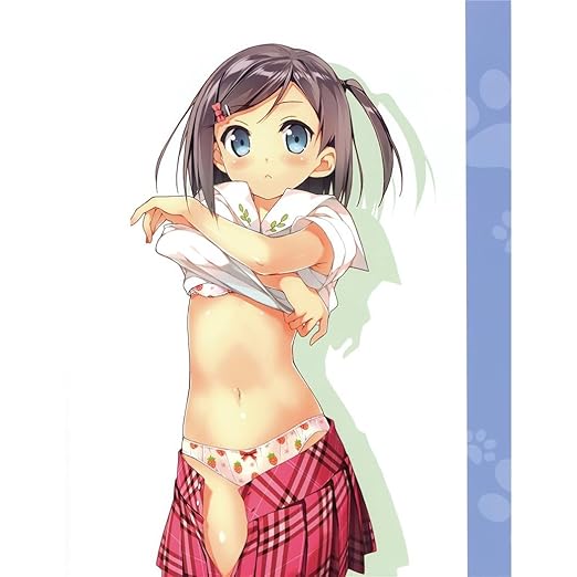 Hentai Ouji To Warawanai Neko (14inch x 18inch / 35cm x 45cm) Silk Print Poster - Seide Plakat - 6F80C2