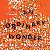 An Ordinary Wonder