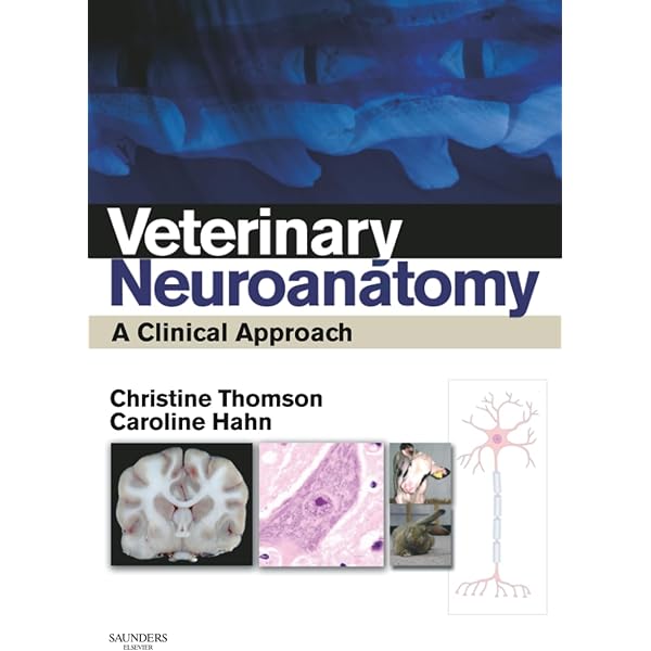 Fundamentals of Veterinary Clinical Pathology: 9780813825618