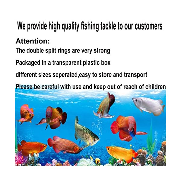Shaddock-Fishing–150packbox-Double-Split-Rings-High-Strength-Heavy-Duty-Stainless-Steel-Fishing-Split-Ring-Kit-Fishing-Lures-Tackle-Set-20lb-to-80lb-Test Shaddock-Fishing–150packbox-Double-Split-Rings-High-Strength-Heavy-Duty-Stainless-Steel-Fishing-Split-Ring-Kit-Fishing-Lures-Tackle-Set-20lb-to-80lb-Test