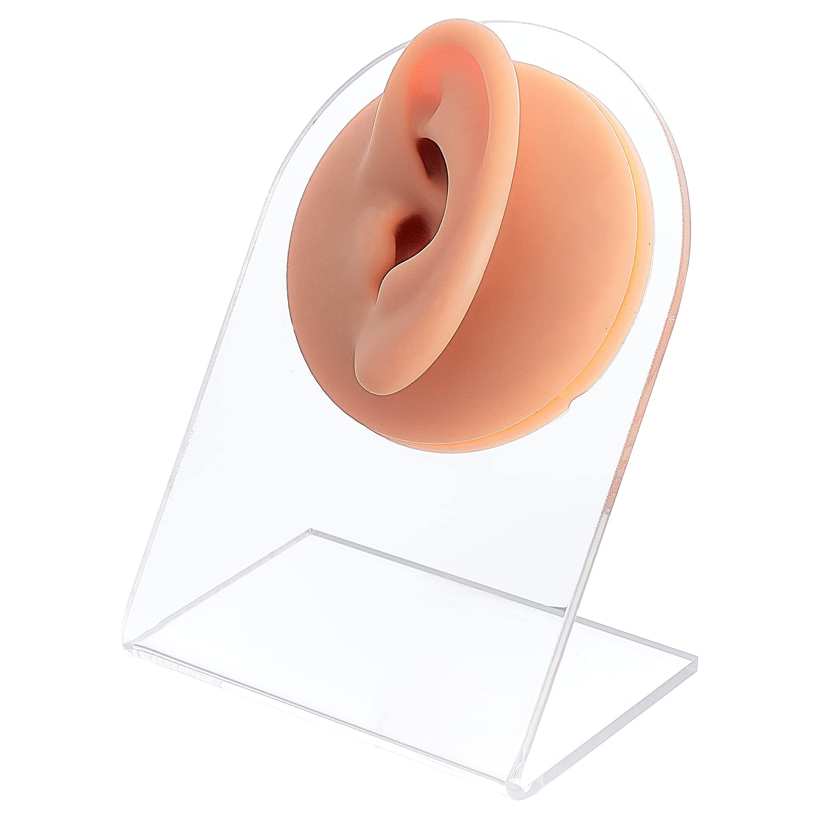 OLYCRAFT Silicone Model with Acrylic Display Stand Ear Decorations Ear Body Parts Displays for Puncture Practice Jewellery Earrings - 6.4 cm Diameter