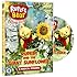 Rupert The Bear: Rupert And The Giant Sunflower [DVD]