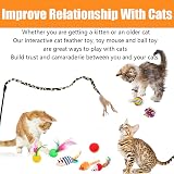 Speedy Panther 21Pcs Cat Toys Collapsible Tunnel Interactive Wand Ball Feather view 4