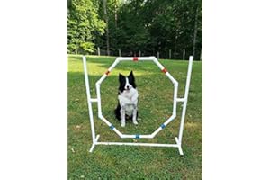 The Dog Agility Shop Dog Jump - Practice Tire/Hoop Jump - PVC Material - 29 Inch Diameter