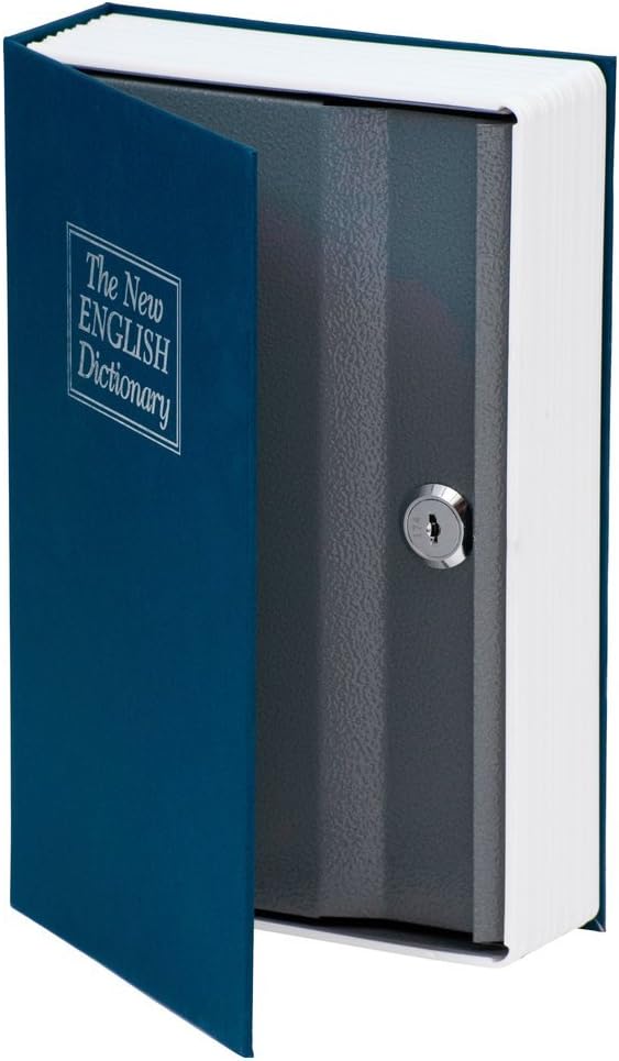 dictionary book safe