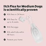 Itch Medium Dog Flea & Tick Spot-On Treatment 6 Pipettes 10-20kg view 5