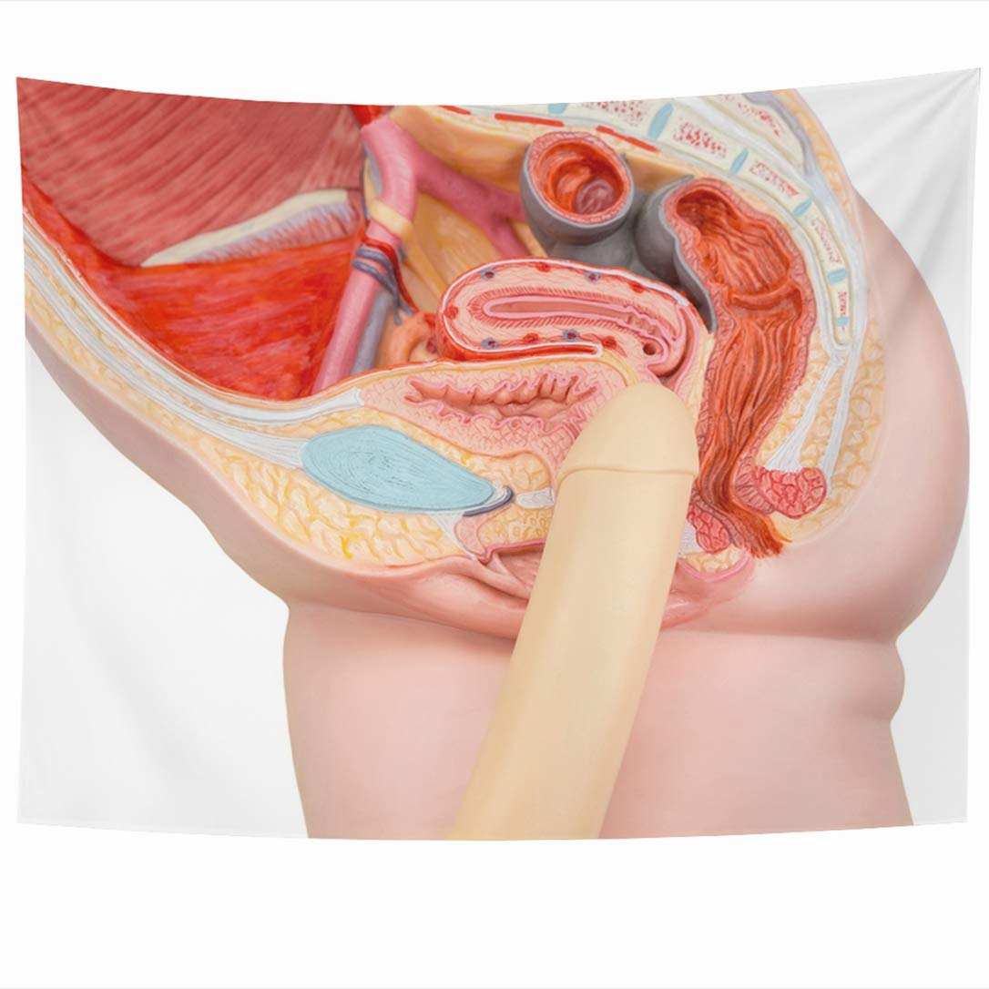 Which Is The Best Sex Home Decor