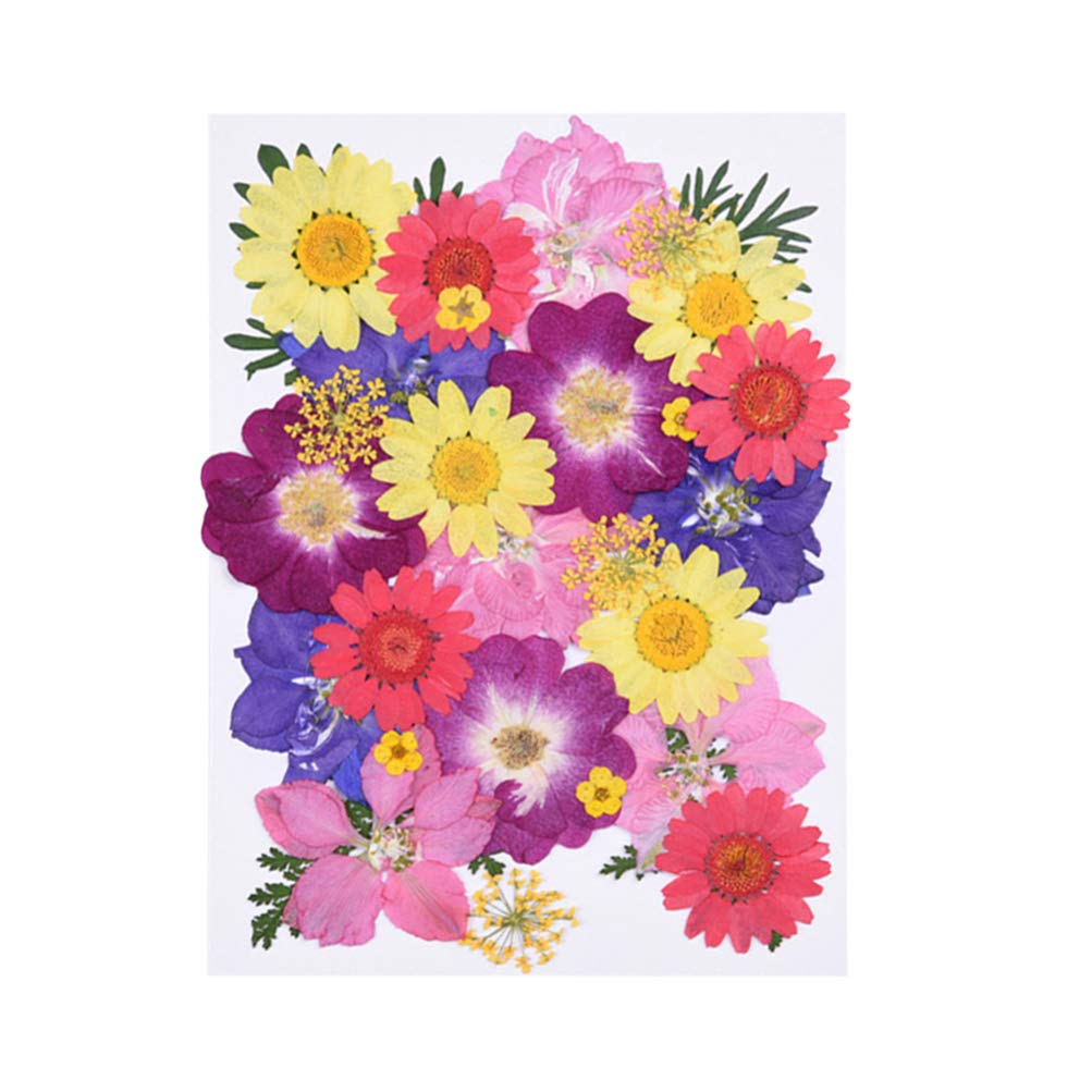 Milisten Embossing Dried Flower Material Bag 30 Pieces Natural Pressed Flower Specimens for Diy Craft Wedding Home Table Decoration Scrapbooking and Resin Jewelry