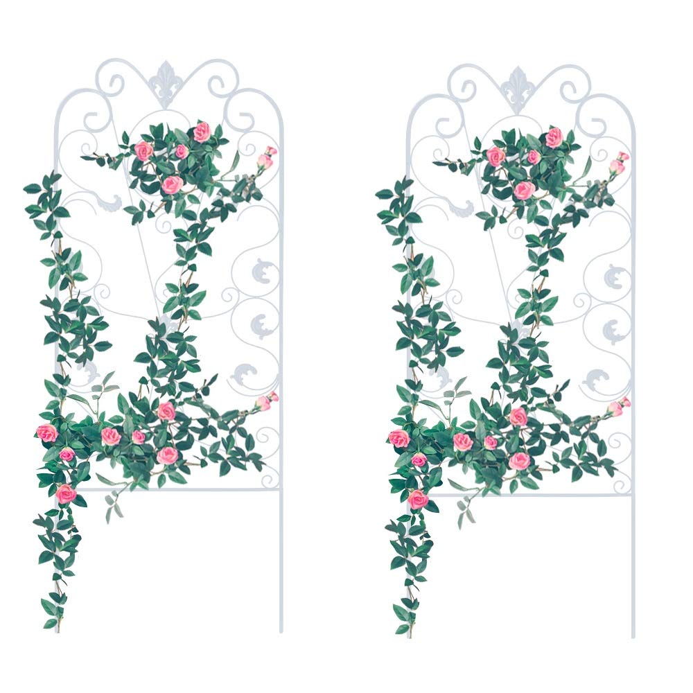 Best Elegant Garden Arch Trellis