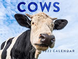 Cow Calendar August 2022 Cows 2022 Wall Calendar Cattle Farm Animals Cute Country Farmer Cows  Calendar Cattle Large 18 Month Calendar Monthly Full Color Thick Paper  Pages Folded Ready To Hang Planner Agenda 18X12 Inch : Office Products -  Amazon.com