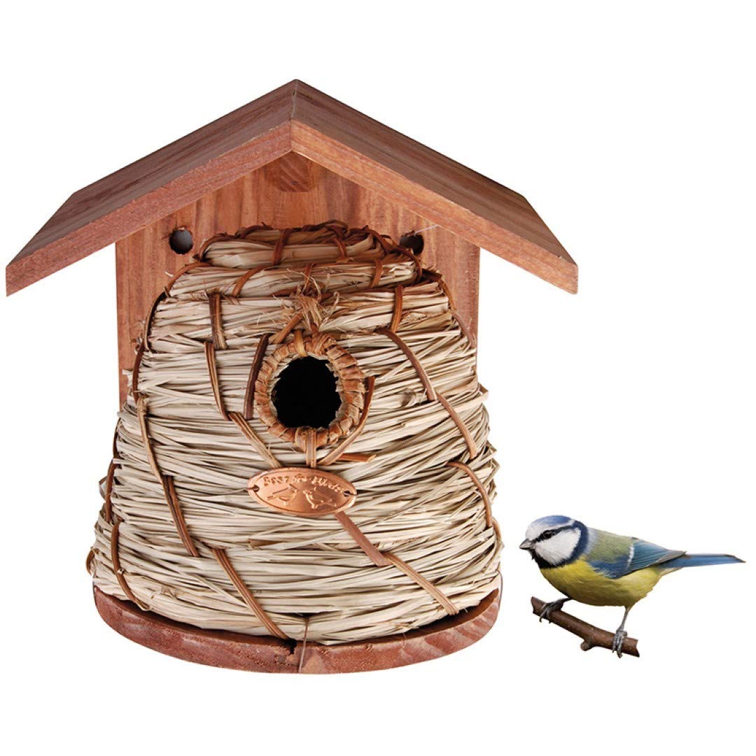 Fallen Fruits NKBH Beehive Bird House