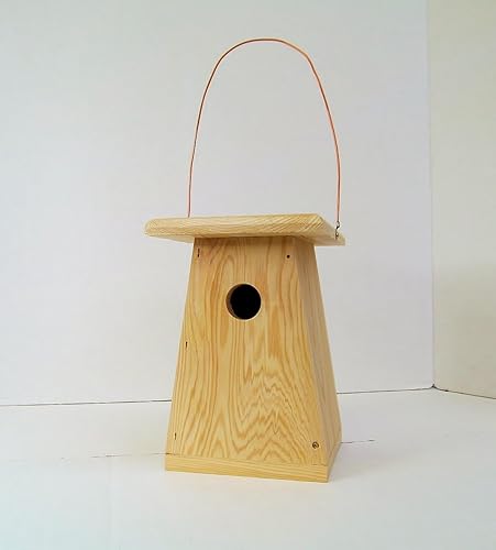 Amazon Com Handcrafted Hanging Birdhouse A Great Addition To Any