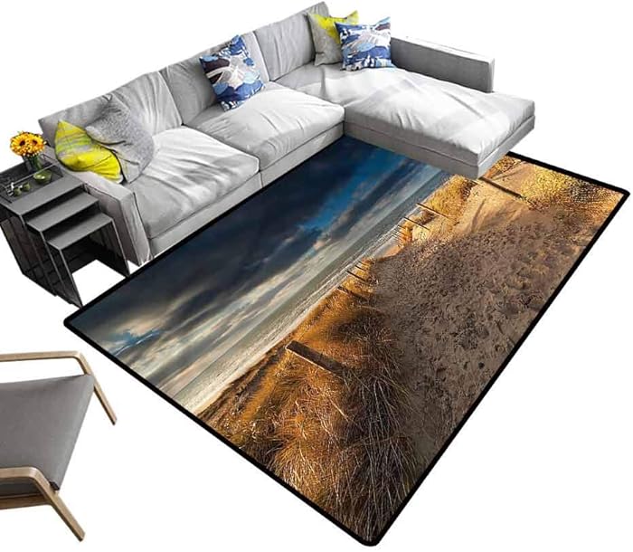 Beach, Shag Throw Rug Sandy Path to The North Sea Super Soft Area Rug for Kids Nursery, 6'x 9'