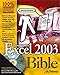 Excel 2003 Bible by John Walkenbach