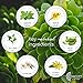 Oily Skin Control and Adult Acne Regimen. 3-Step System Includes Cleanser, Mattifying Moisturizer and Toner with Tea Tree & Salicylic Acid. Sample Set. Best Hormonal Acne Treatment.